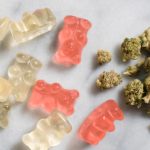 Exploring the Differences: HHC Gummies vs. Traditional THC Gummies